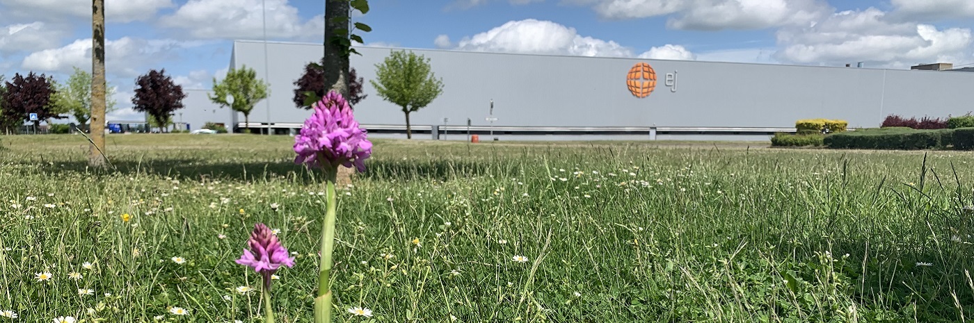 Committed to the environment